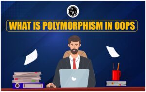 What Is Polymorphism In OOPS, Definition, Uses
