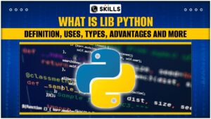 What Is Lib Python - Definition, Uses, Types, Advantages And More