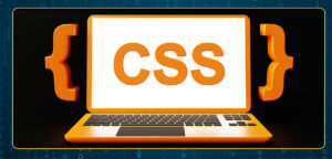 What is CSS
