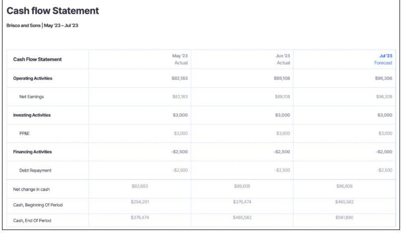 CASH FLOW STATEMENTS 
