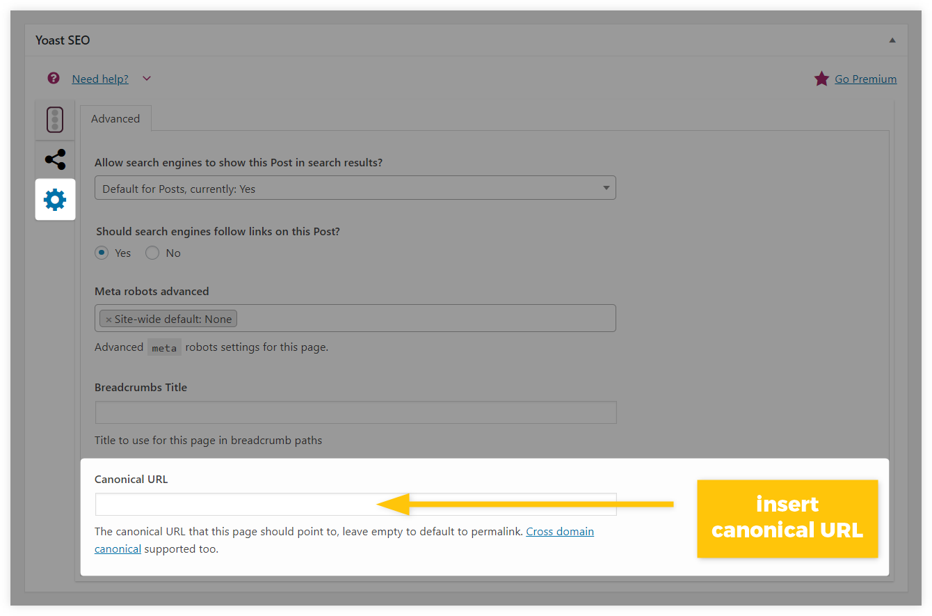 What Is Canonical Tag (+Its Benefits for SEO)? 3 Canonical Tag