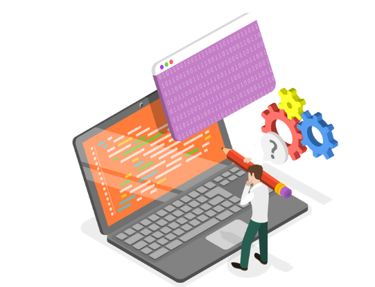 Freelance Web Developer