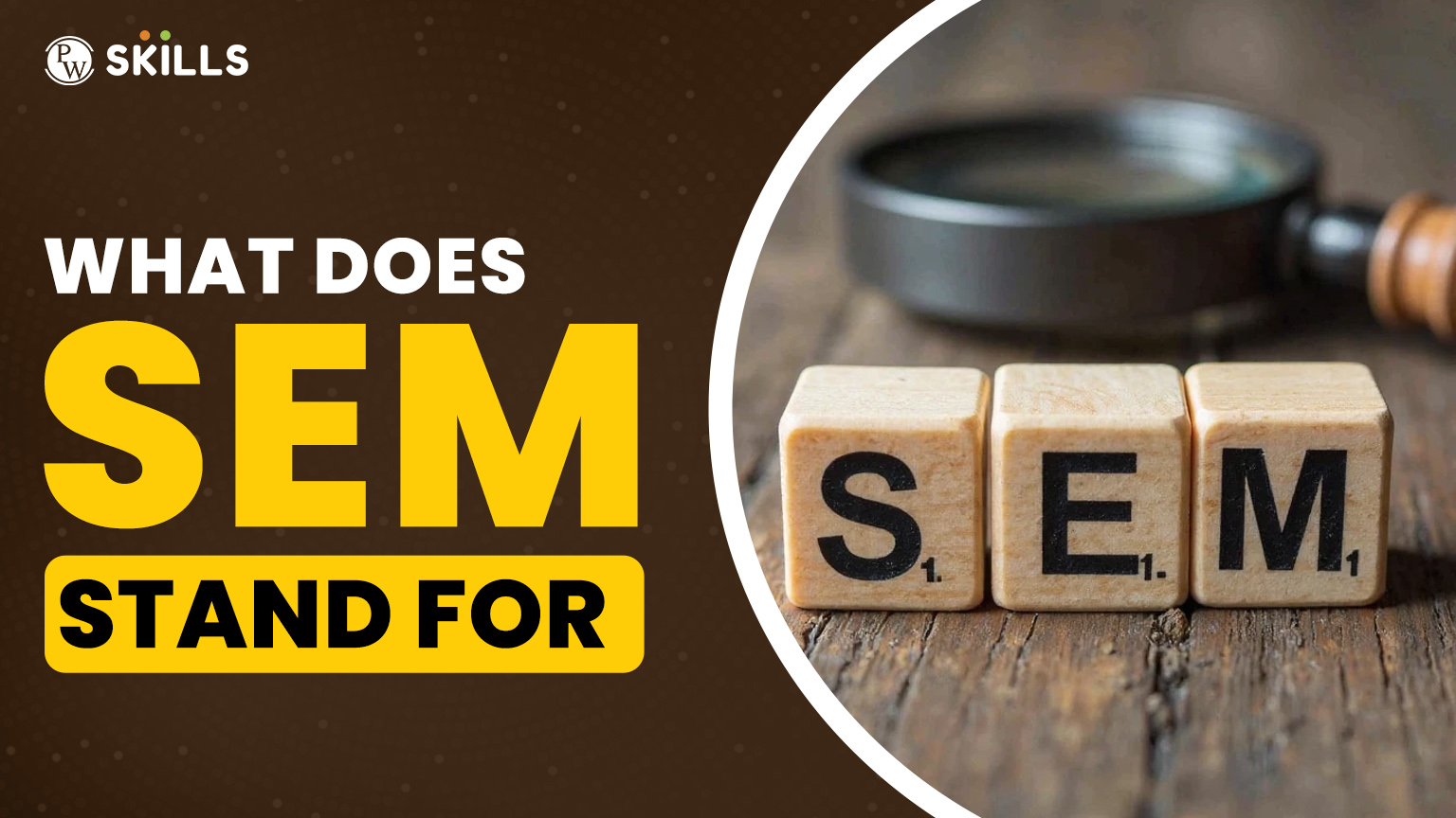 What Does Md 2020 Stand For What Does SEM Stand For?