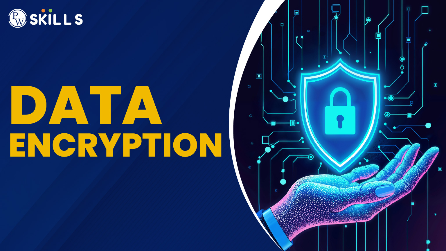 Data Encryption Simplified: Everything You Need to Know in 2025 2 Data Encryption