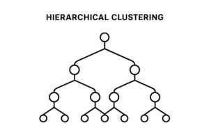 Hierarchical Cluster