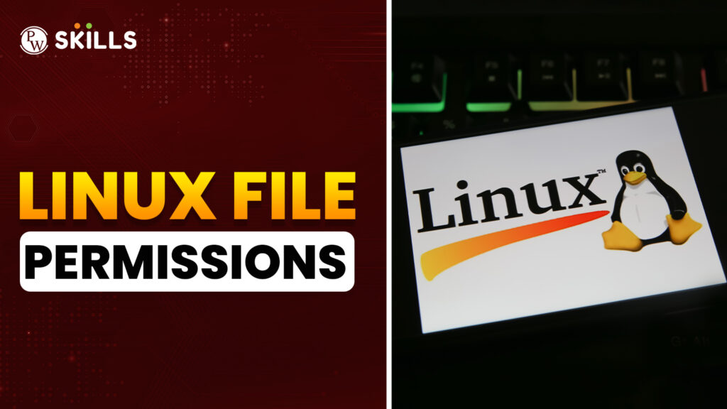 "What are file permissions in Linux? how to check the permissions of a file in linux How do you view Linux file permissions? How do you read file permissions? What do Linux file permissions actually do? How do you modify Linux file permissions? What are special file permissions? "
