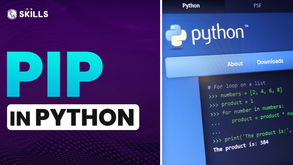 PIP in Python