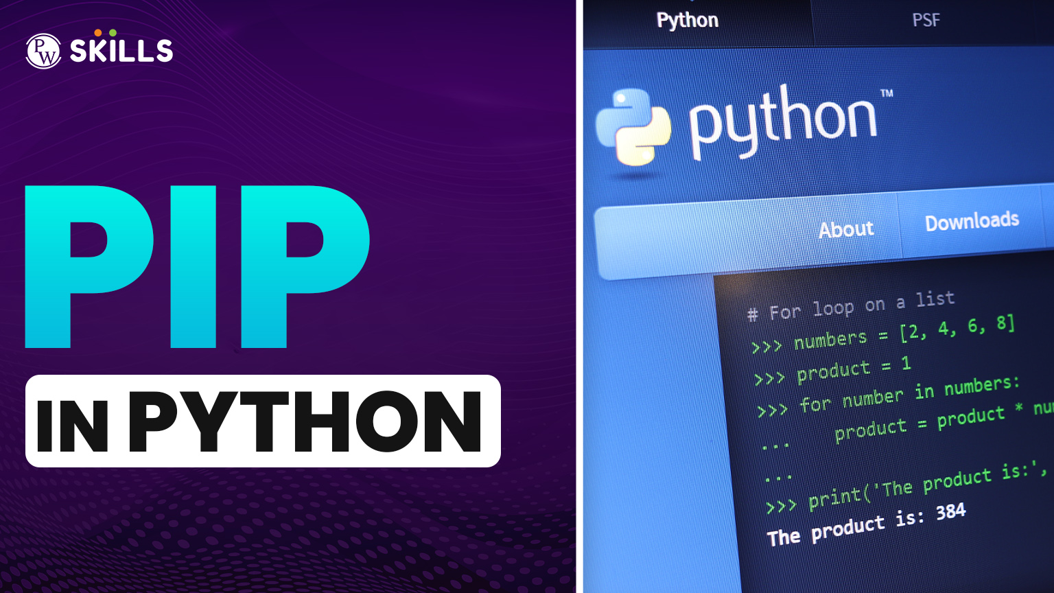 PIP In Python: The Powerful Guide To Package Installation And ...
