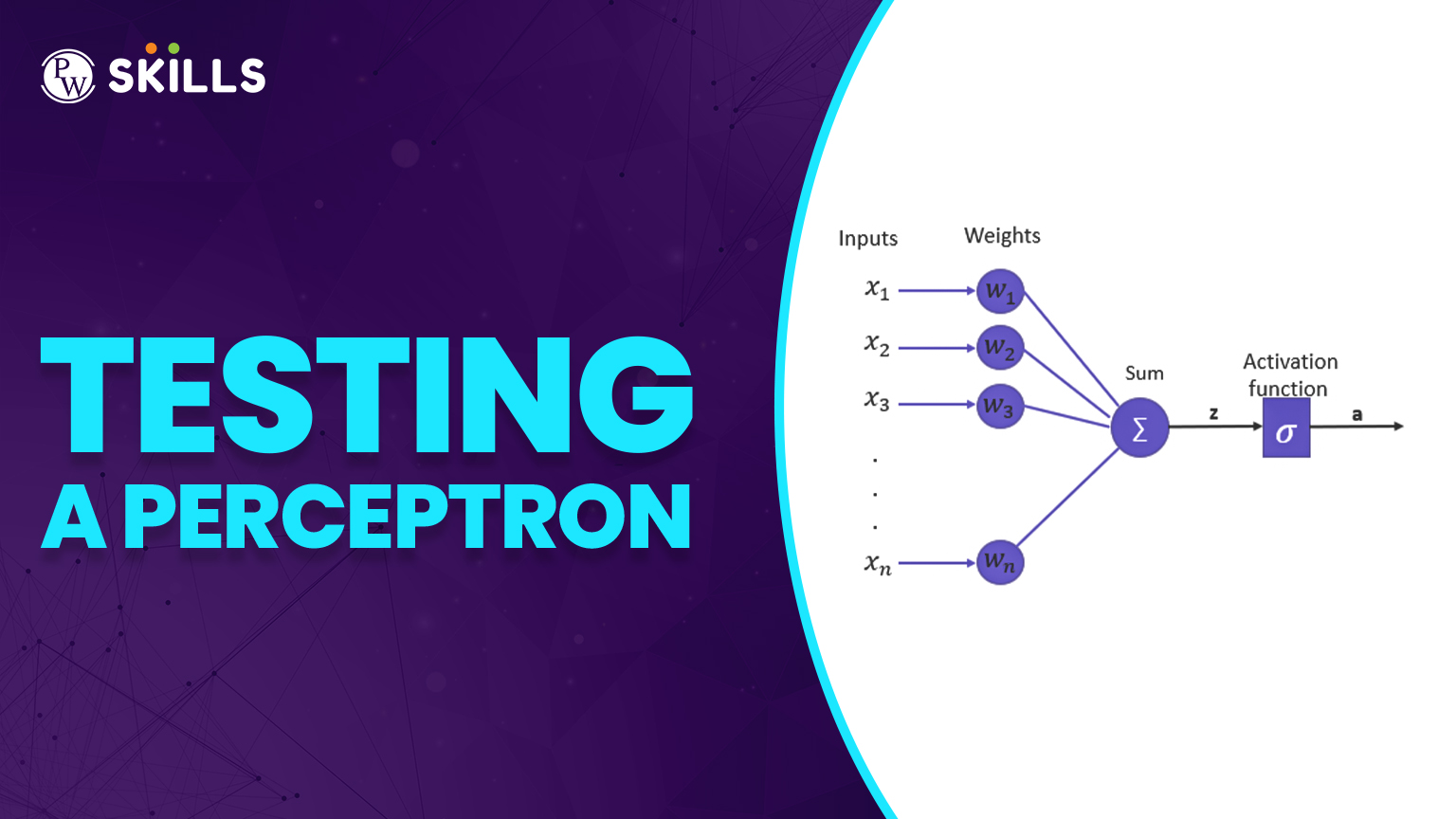 PW Blogs 11 Perceptron